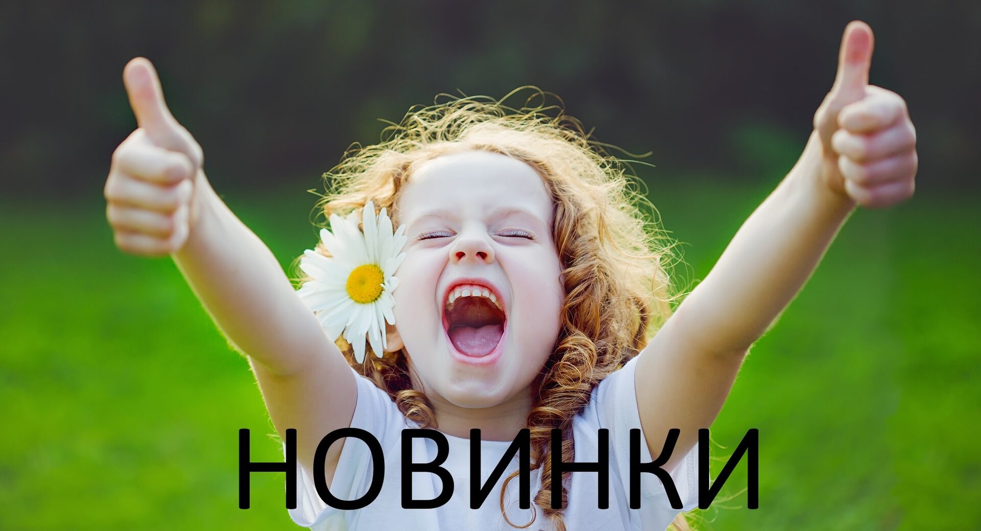 А мы с новинками! Марка KOMAN. А мы с новинками! Марка KOMAN.